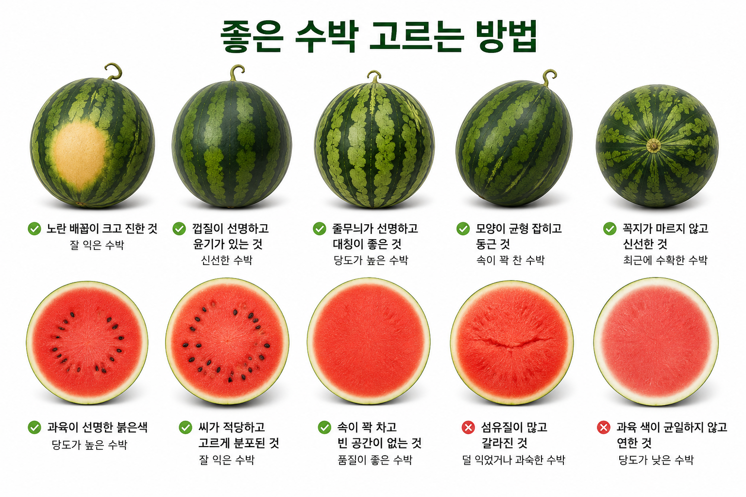 수박 고르는 법