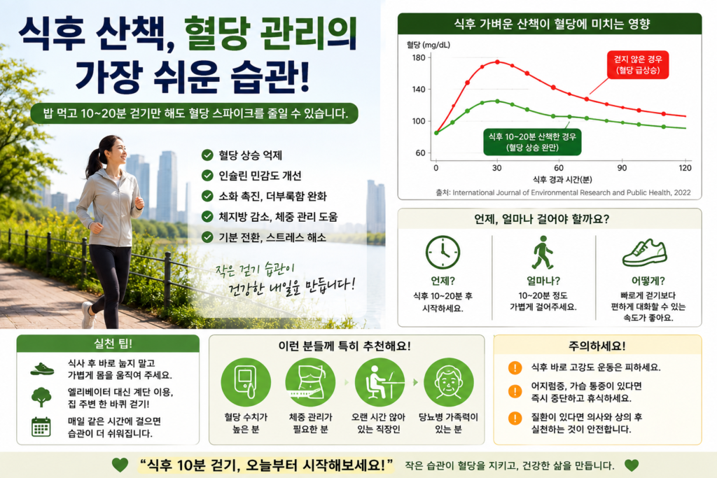 식후 산책